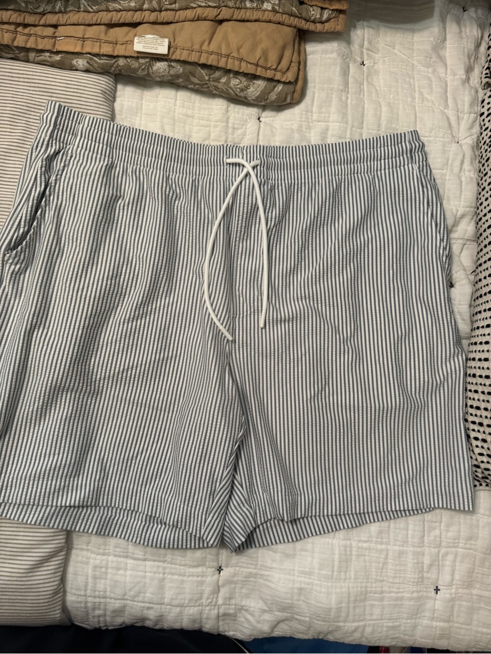 C&C California Blue & White Pinstripe Drawstring Shorts